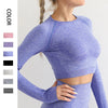 Woman wearing a long-sleeve yoga crop top with a built-in bra in lavender blue—perfect for workouts, yoga sessions, or summer activewear.